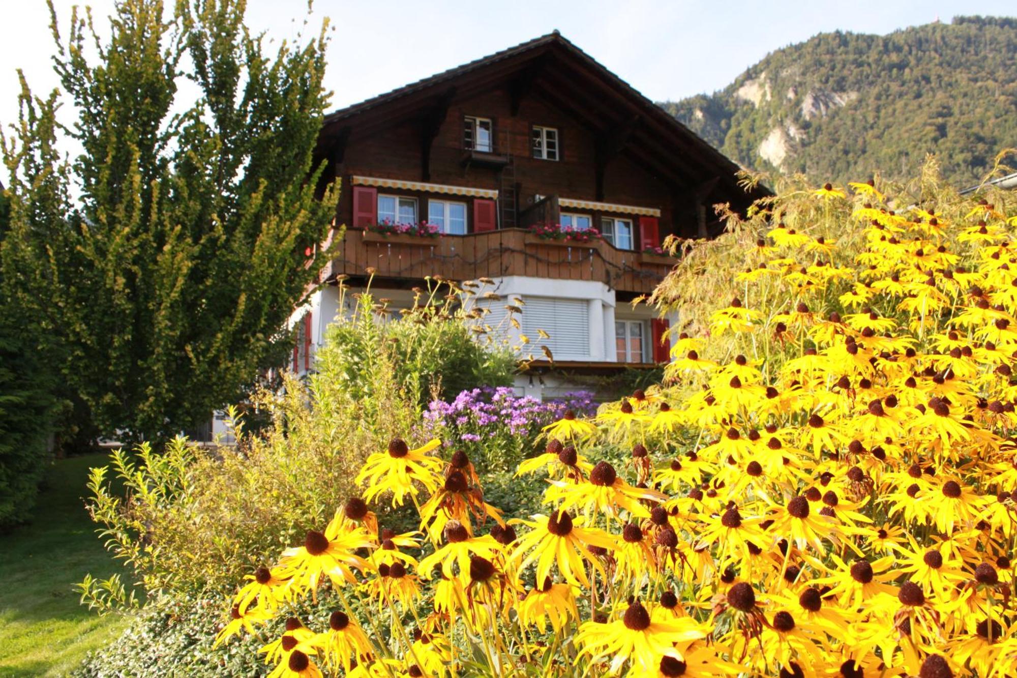 Adventure Guesthouse Interlaken Unterseen Ngoại thất bức ảnh